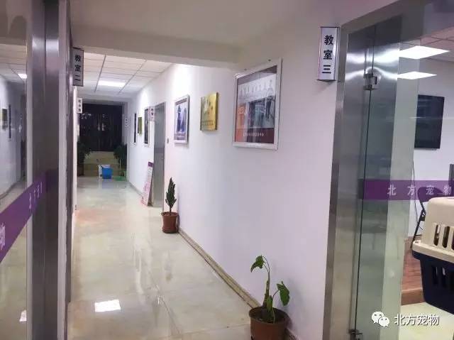 蜜桃视频 我还没有学会回答这个问题