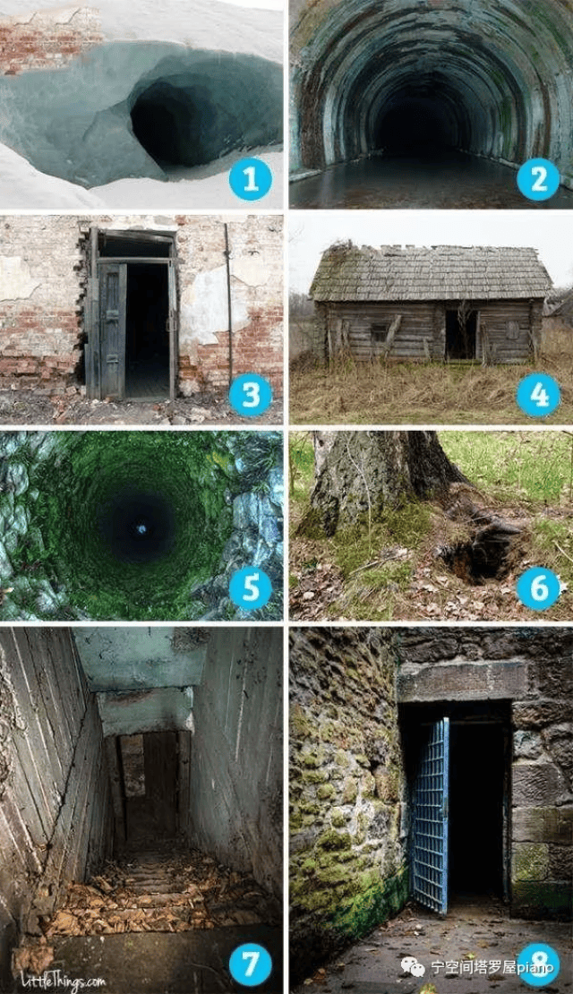 kanav在线 小众软件或地方性服务