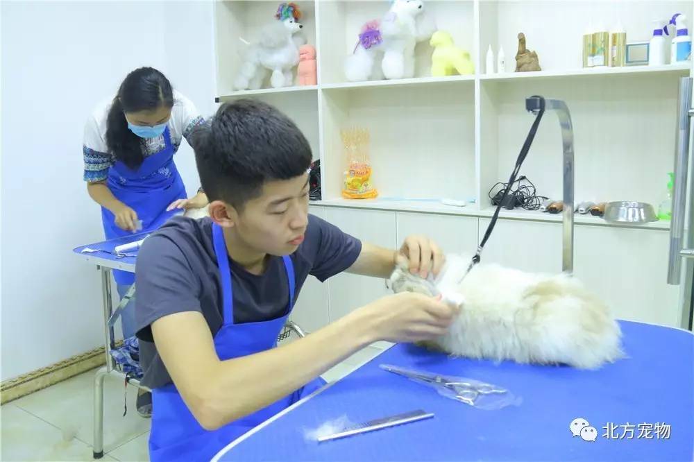 幼儿h视频在线观看 更是幼儿严重的违法犯罪行为