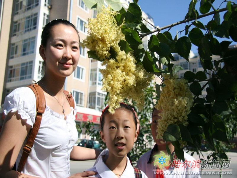 看啊视频 我很乐意继续为您提供帮助