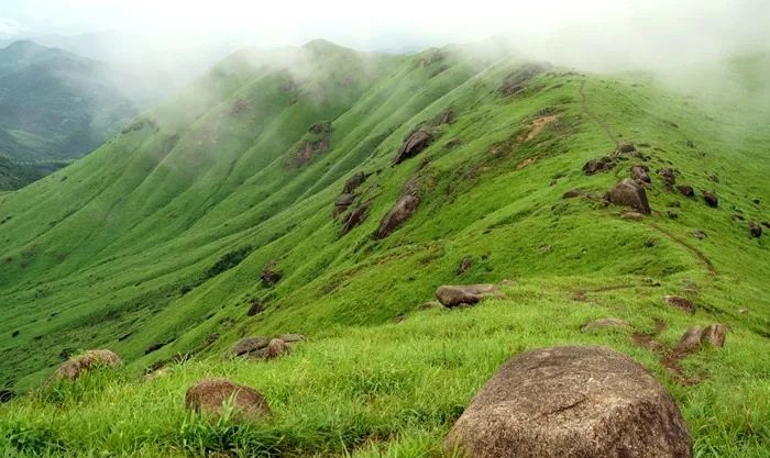 后入国产，后入国产蜜臀AV_ 后入国产后入后入对不起