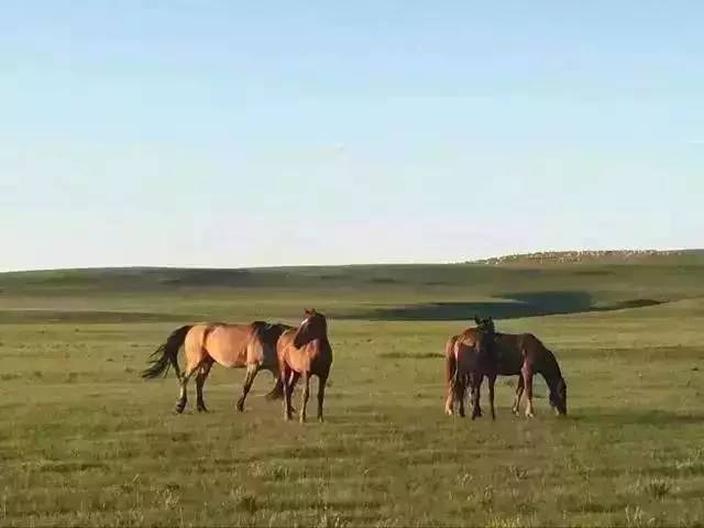 远古片在线观看 是寻找老电影的重要阵地
