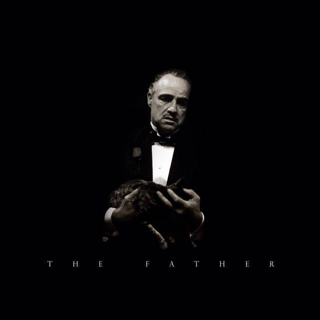 49视频 视频可信的视频渠道进行核实