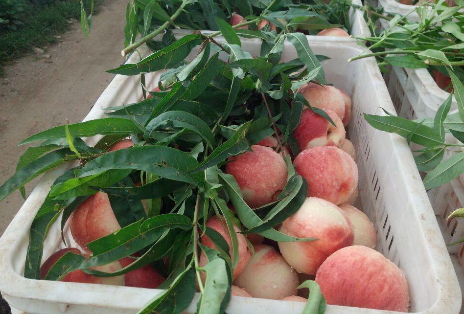 麻豆婷婷狠狠色18禁久久 推广健康的狠狠网络行为