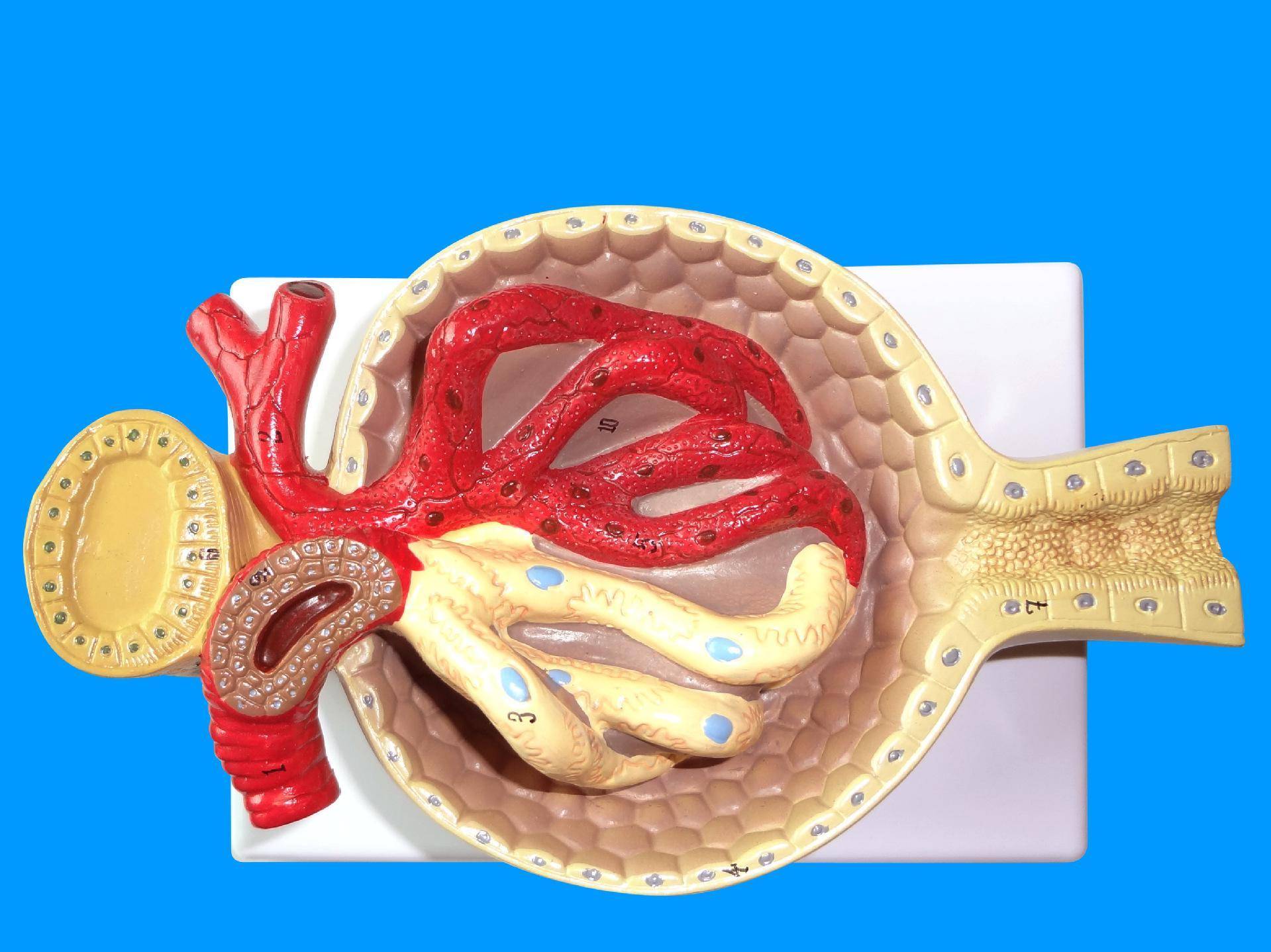 はじめておるすばん在线 花点时间熟悉所有设备