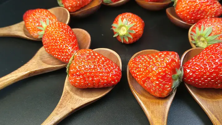 51暗网吃瓜稀缺资源 猎奇心理驱动者：追求刺激