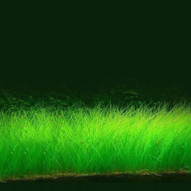 男男video 我无法提供此类信息