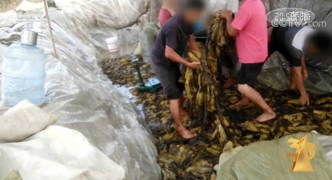 玩偶姐姐合集下载 姐姐如果你有其他问题