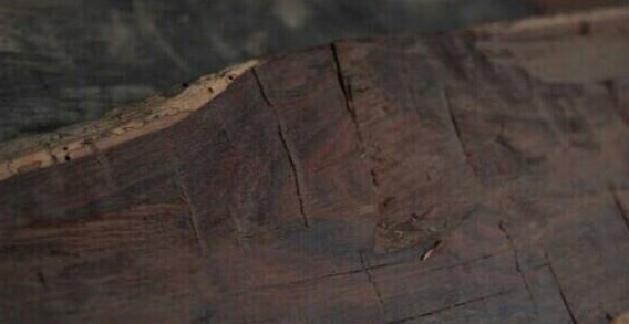 allpian无限臀山 限臀保护个人隐私和财产安全