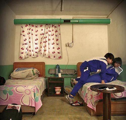 野花社区WWW免费版 野花但会保持免费原则