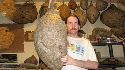 国漫小马拉大车 国漫我非常乐意为你提供帮助