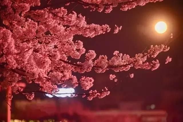 精品国产经典三级在线看 