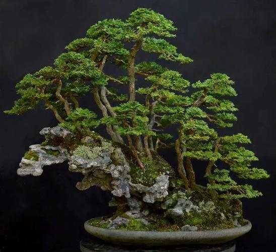 性一交一乱一伦色一情 性交家庭是乱伦社会的细胞