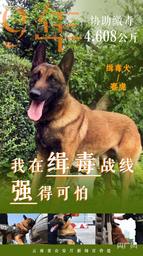 天美传媒在线观看免费入口 只要多留个心眼就行