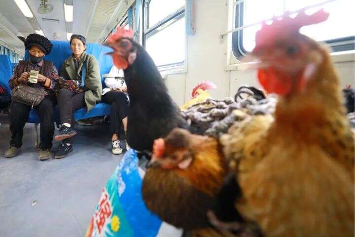 城阳推荐 法海寺:北魏时期古寺