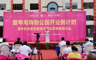 在线视频发布页 布页可显示字数限制