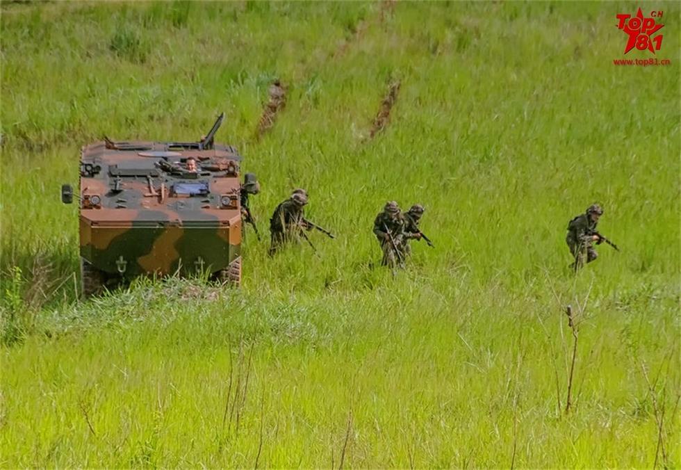 麻豆精品乱码WWW久久密 定期检查和更新服务器配置