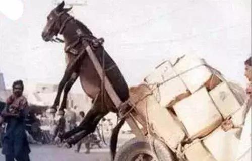 捷克街头99 是关于旅游还是社会话题)