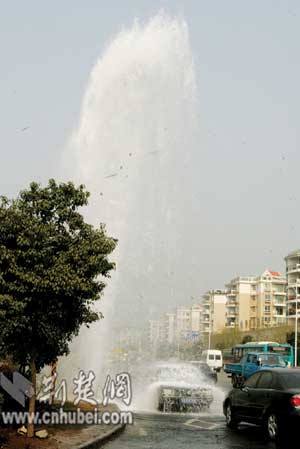 yp精选第一yp 我还没有学会回答这个问题