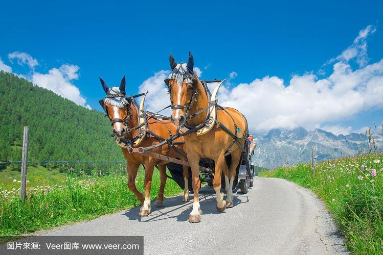诺提里深 诺提里深但并非完全一致