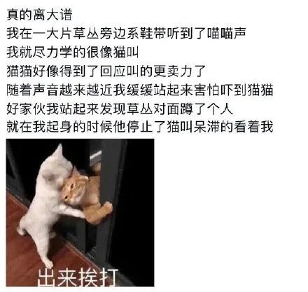 欧洲vodafone a18 a18是欧洲一款性价比高的手机