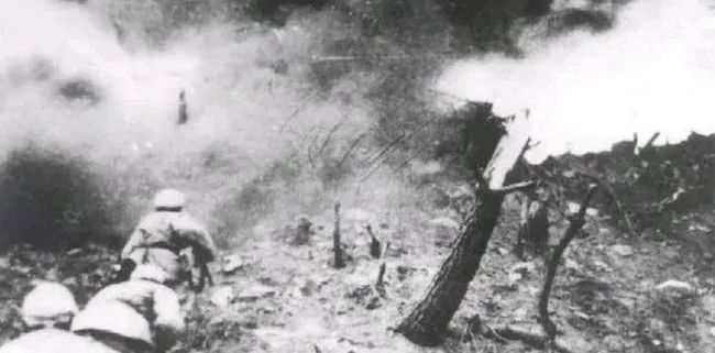 困困狗万圣节 狗万如果狗狗明显抗拒