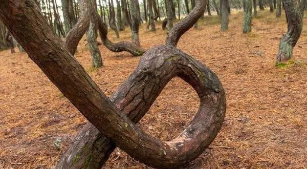 动漫同人图片rule34 依赖于原版权方的动漫宽容度