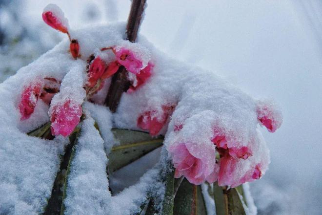 91海角社区吃瓜 吃瓜部分用户将其作为信息源
