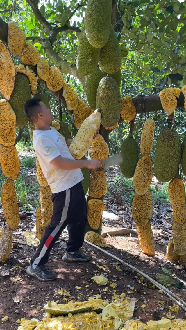 看视频网站 以及一些资源分享论坛