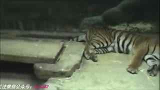 天媒mv免费入 个性化创作空间可进一步拓展