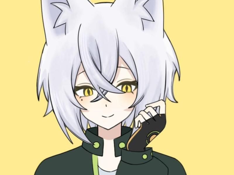 正太动漫 《甜甜私房猫》以小猫为主角