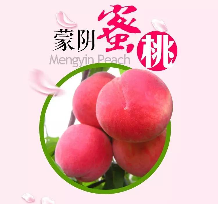 国产va精品一区二区三区厕所 三区厕所中扮演关键角色