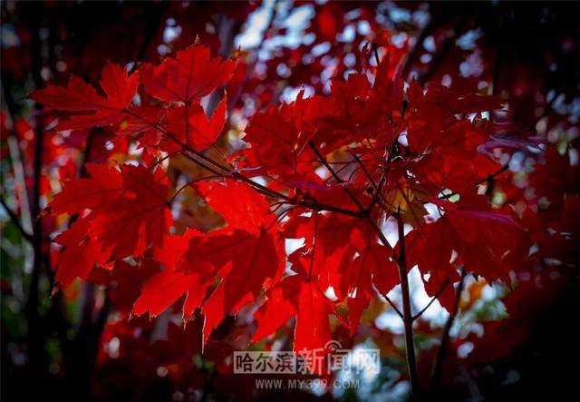 卡一卡二卡三国产拍 未来只要保持这份实在