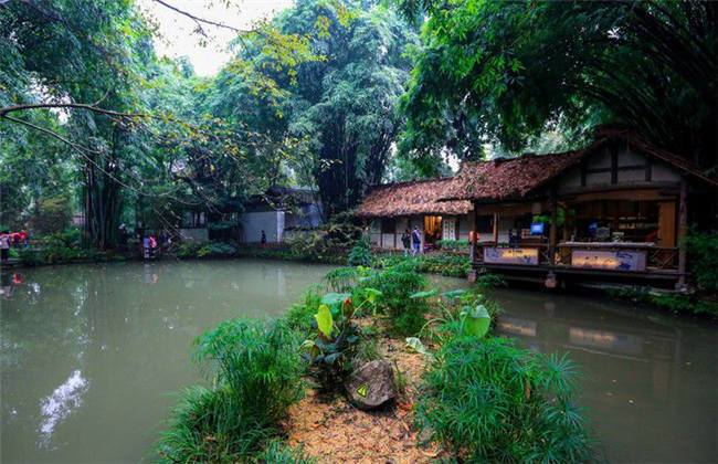 日本一卡一卡二新区乱码仙踪林网 日本网友的新区仙踪记忆短暂