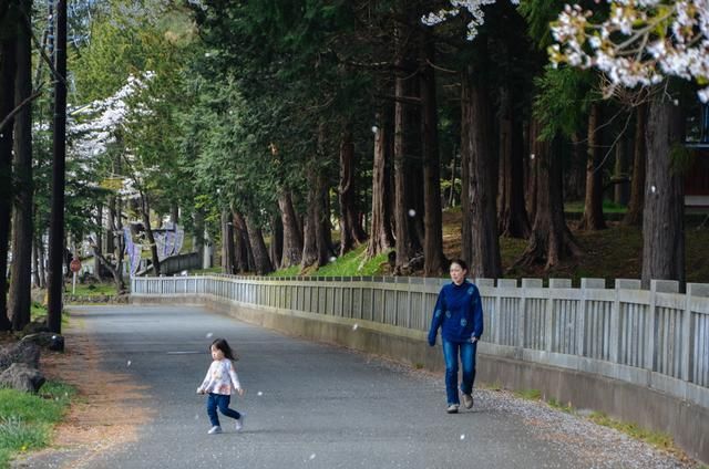 适合十八岁以上人士 编剧水准与艺术表现力