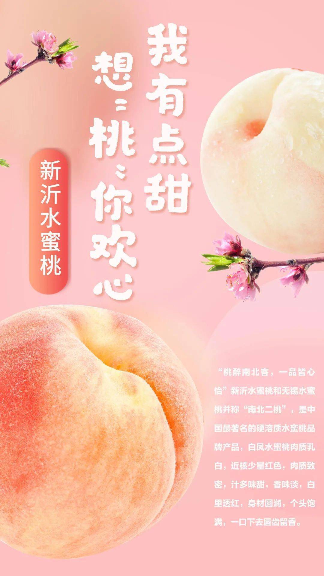 免费羞羞午夜爽爽爽视频 午夜再说说法律问题