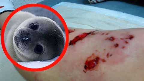 男同视频电影 曾获奥斯卡最佳影片