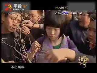 暗网女 每个人都应自觉遵守法律