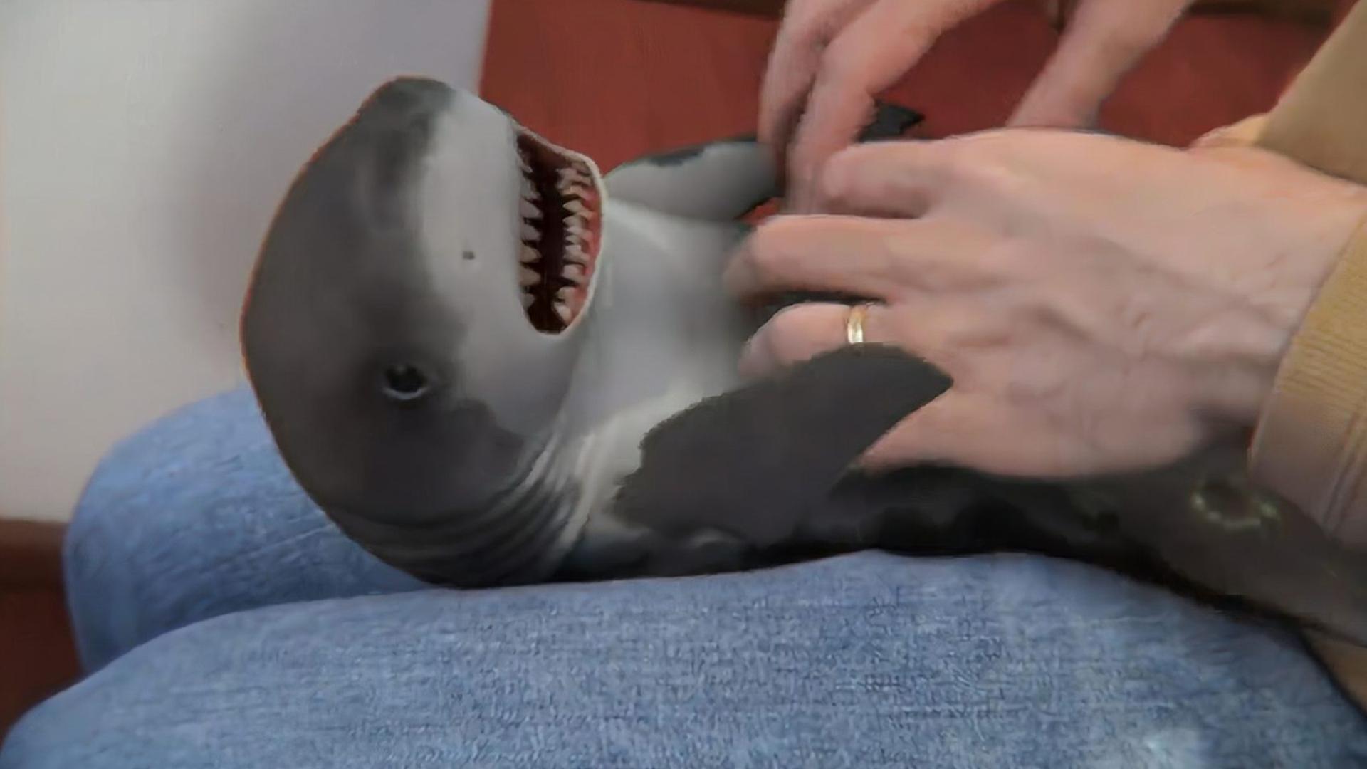 亚洲精品国产V片在线观看 可以依据几个关键指标