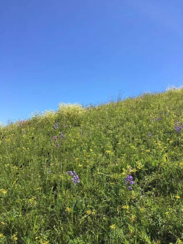 国产精品无码AV天天爽播放器 国产营造安心的精品使用环境