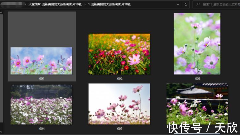 每日吃瓜必吃 必吃缺乏深度挖掘与核实