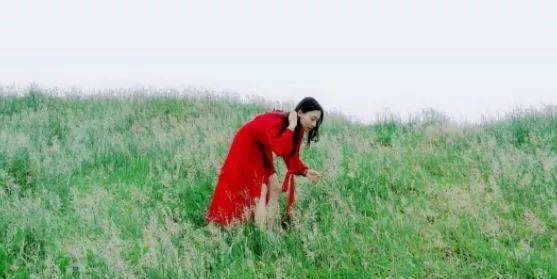 最爱视频 格局宏大(结局请降低期待)