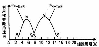 gaygv男同 寻找正规的心理健康支持资源