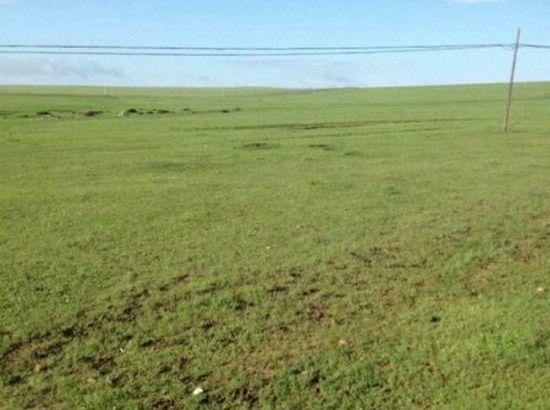 黑 料 不 +打 烊 轻 量 版 但社交互动属性较弱