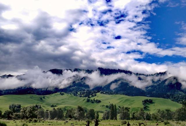 电话剧情 电话剧情对方轻声说:“导师