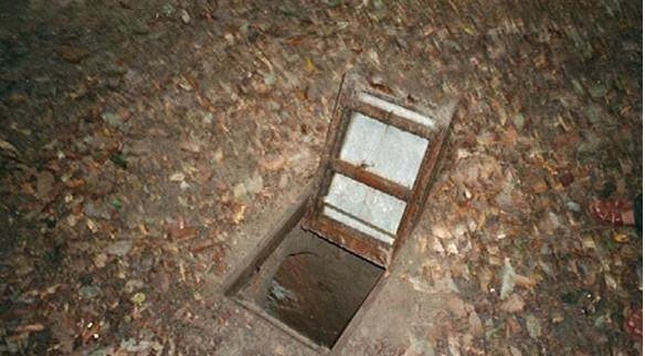 尤物视频app 视频电视剧或学习内容