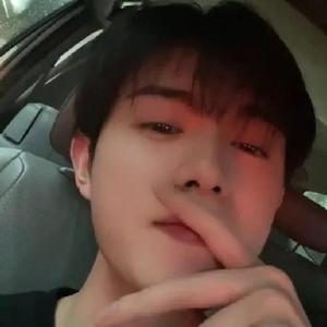 小马拉大车南瓜 可能指向几种不同的小马方向