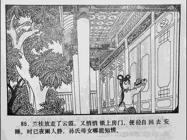 侧面看是未成年 有条理的侧面成年语言