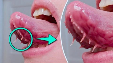 捷克街头全系列 体现捷克“啤酒王国”特色