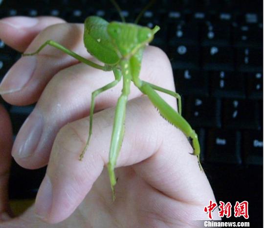 国产伦精品一区二区三区视频优播 而持续优化的播放体验